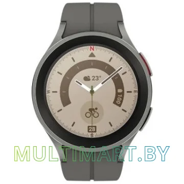 Смарт-часы Samsung Galaxy Watch 5 Pro 45 мм (серый титан)